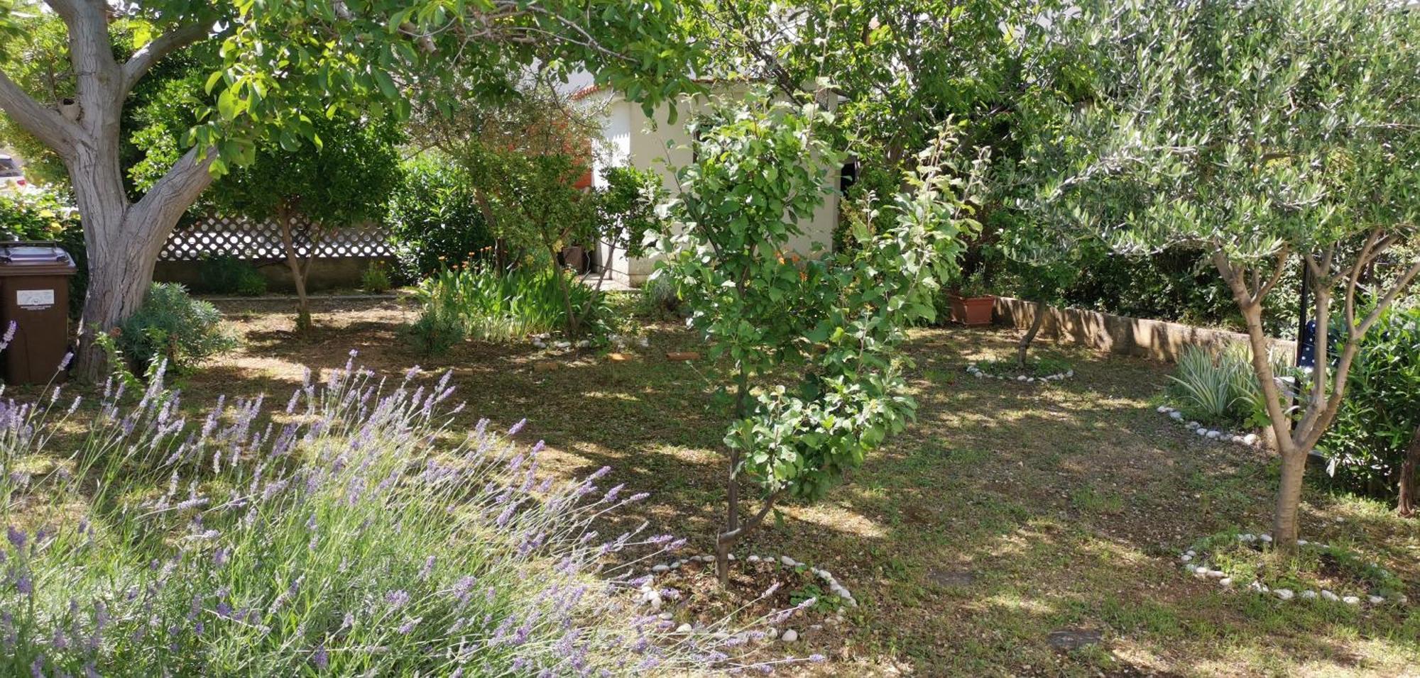 Apartmani Sersic Baška Dış mekan fotoğraf